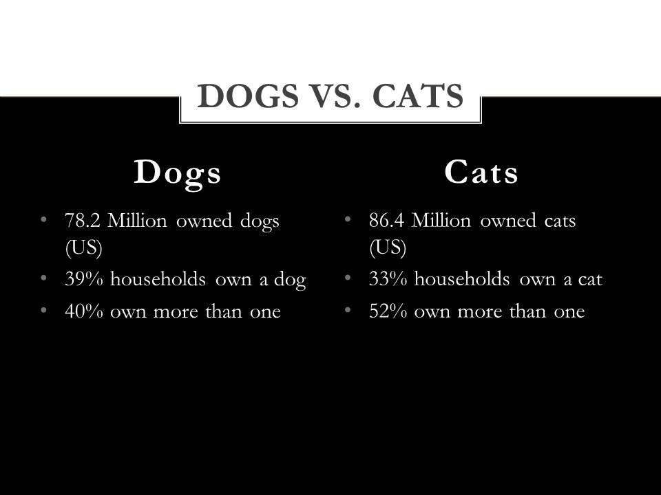 Dogs vs cats contrast essay